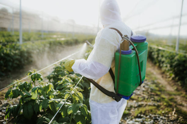 Best Local Pest Control Services  in Pagosa Springs, CO